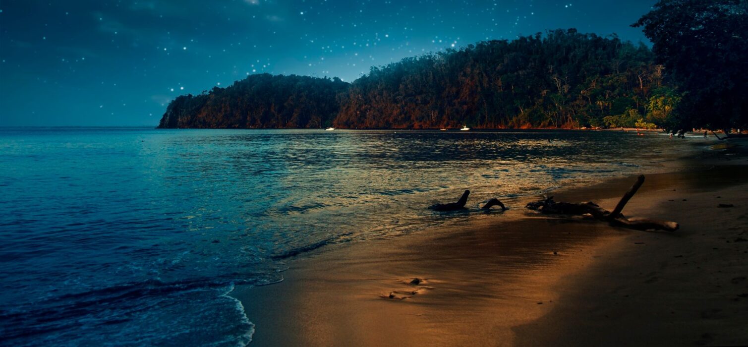 palolem beach: places to visit in goa at night